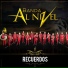 Banda Al Nivel