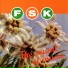 FSK