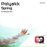 Polyakk (feat. ponycutz)