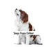 Dog Chill Out Music