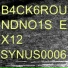 Synus0006