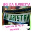Boi da Floresta