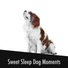 Relaxing Doggy Sleep