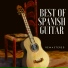 Spanish Guitar