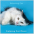 Calming Cat Music