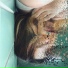 Deanna
