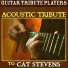 Guitar Tribute Players