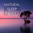 Natural Sleep Land