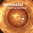 termostat