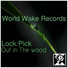 Lock Pick