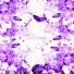 DIZTRICT STAR