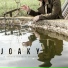 Joaky