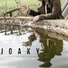 Joaky