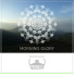 Visioneight, Moodleak