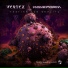 Vertex, Waveform