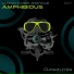 Robus Amp