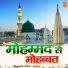 Dilbar Mehraj