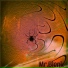 Mr.Blenk