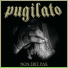 Pugilato NSHC