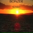 Bonzer