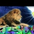 Daweed