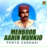 Photo Zardari