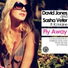 David Jones & Sasha Veter feat RJ Maine