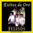 Los Felinos