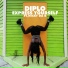 Diplo feat. Nicky Da B