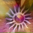 ElectroWeb