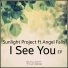 Sunlight Project feat. Angel Falls