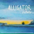 Alligator