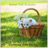 Calming Cat Music