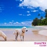Dualtrx