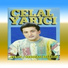 Celal Yarıcı