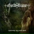 Gjeldrune