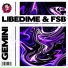 LibeDime, FSB