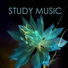 Mind Entrainment Doctor