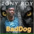 Tony Roy