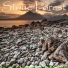 Stone Forest