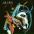 Jin Choi