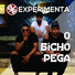 Experimenta