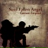 Soul Fallen Angel