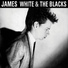 James White & The Blacks