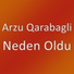 Arzu Qarabagli