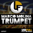 Marco Molina