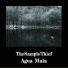 Thesamplethief