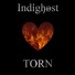Indighost