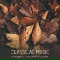 Classical Sounds Solution