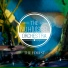 NuHussel Orchestra, Nico Suave
